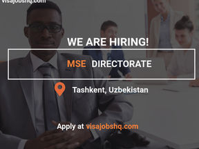 Head of Micro and Small Business (MSE) Directorate (Relocation to Tashkent, Uzbekistan)
