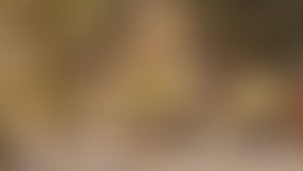 Bellona'dan Bahçede Estetik, Rahatlıkta Zirve: Orvion Bahçe Mobilyası!...