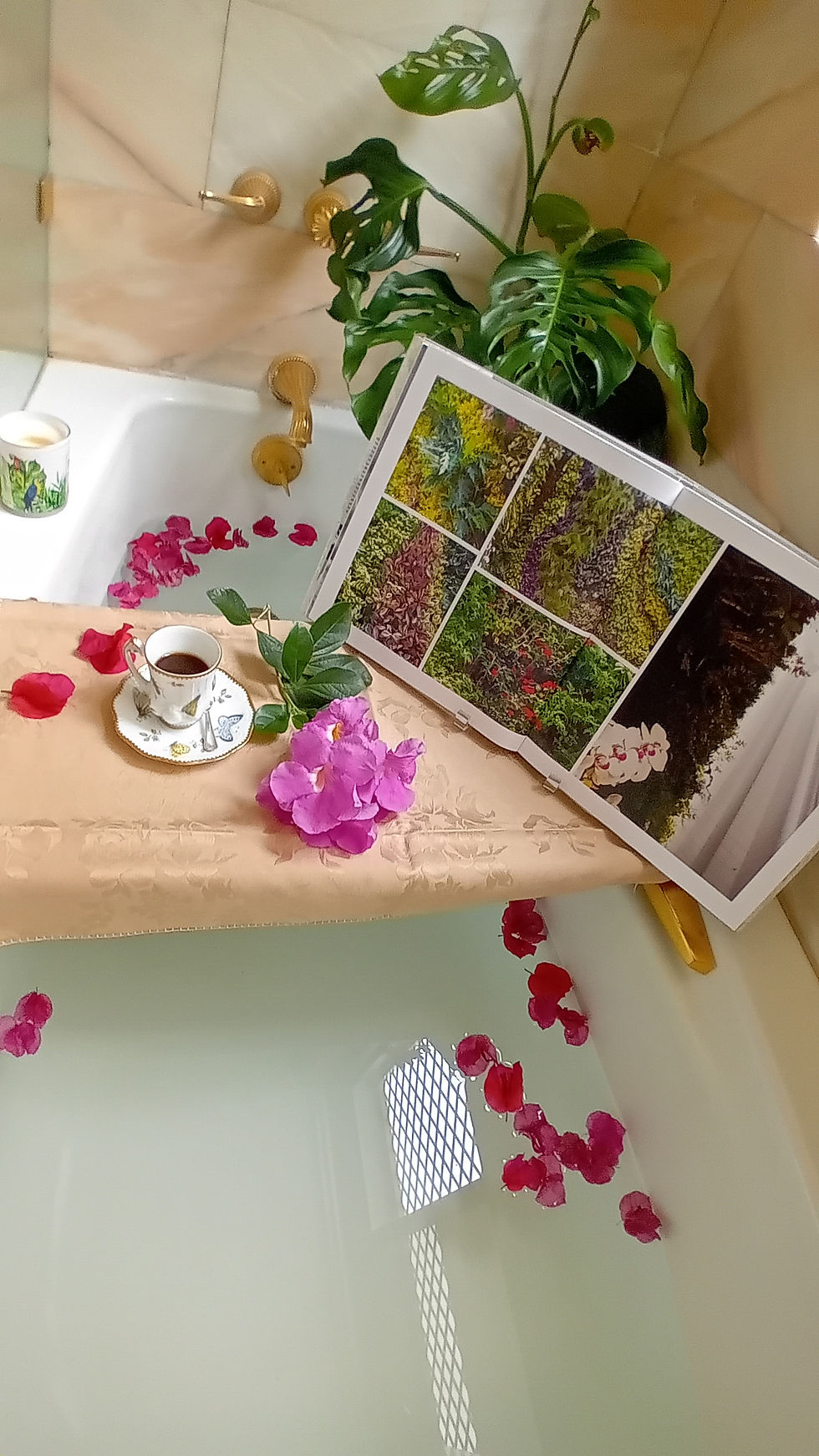 Ejemplar del libro EntreHojas abierto junto a plantas naturales y orquídeas.