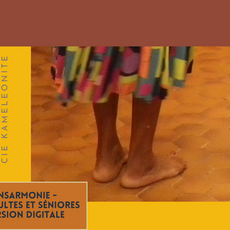 Dansarmonie - volet adultes et séniores