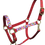 Thumbnail: Jelly Beans