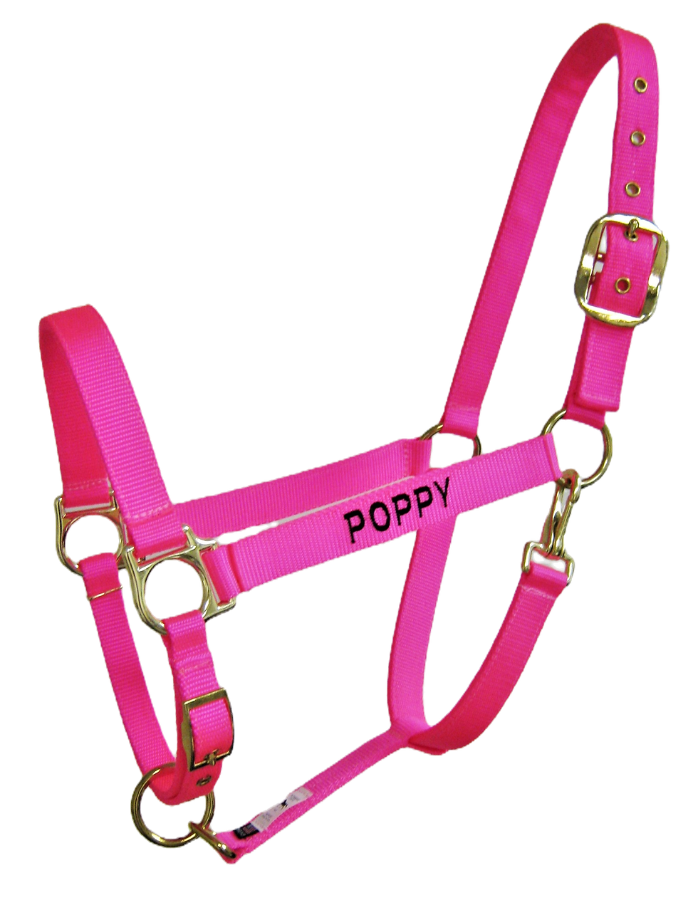 Personalized Halters Block Font