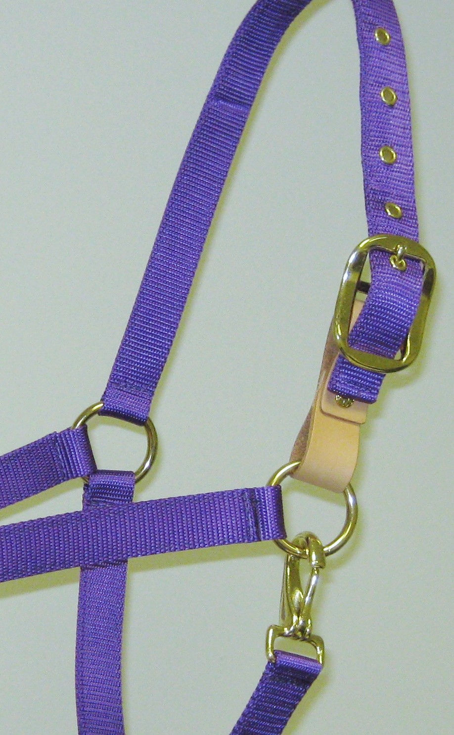 Thumbnail: Sunflower