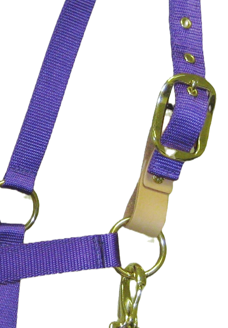 Thumbnail: Solid Color Nylon Halter