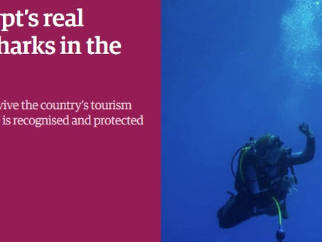 The Guardian: Egypt’s real treasure: diving with sharks in the Red Sea