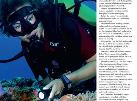 Shooting Nemo.