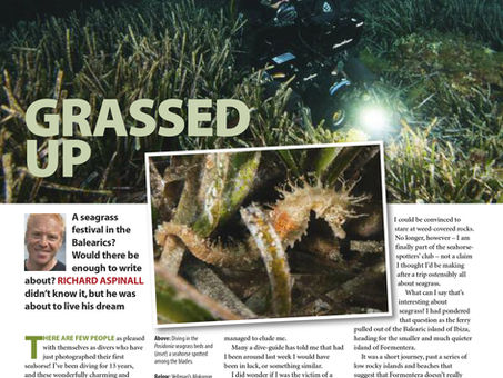 Diver magazine feature: Formantera Sea Grass Festival