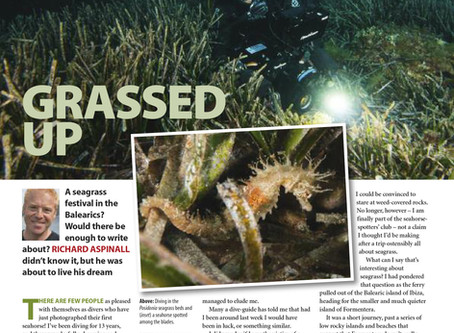 Diver magazine feature: Formantera Sea Grass Festival