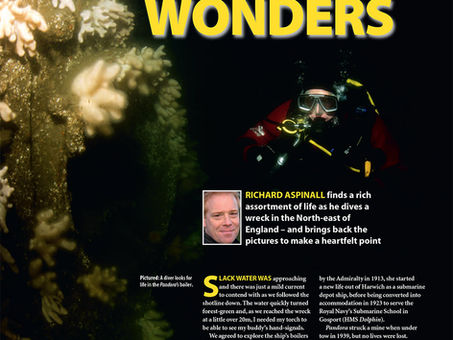 Diver magazine feature: Pandora's Box of Wonders