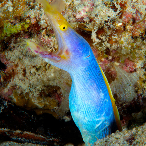 DSC_2011-Edit.jpg