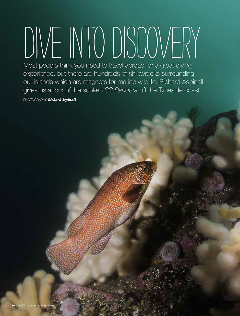 Coast magazine feature: Dive into Discovery