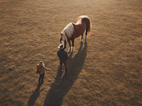 Connect with Your Horse: Healing Through Understanding