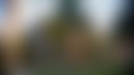 VOTAÇÃO DO PLC 26/2021 É ADIADA NA ALESP: Projeto dispõe de mudanças nas regras do funcionalismo