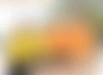 16º Festival de Vôlei de Praia (15/3/26)