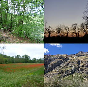 Illustration des habitats