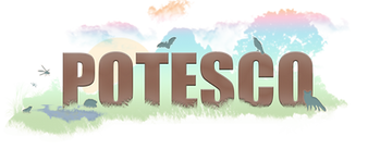 Logo POTESCO