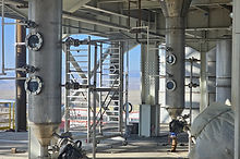 PLANT 01.jpg