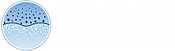 Prime Process Engineering Logo V04.png