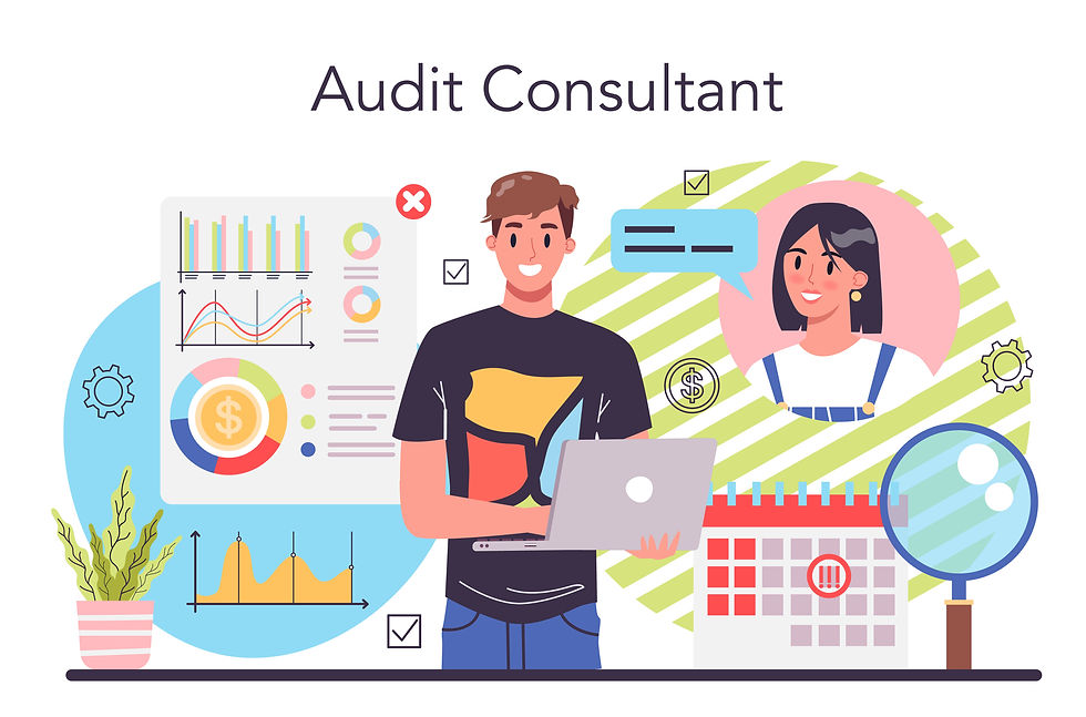 audit_set_3.jpg