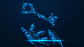 Safeguarding Your Business: A Guide to Identifying and Preventing Intellectual Property Infringement