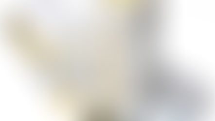 Press Release: Notice of IP & Asset Auction Managed by Fallingst Technologies LLC - Bidding Procedures & Final Sale Hearing Scheduled