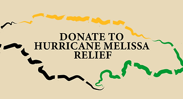 JA Donationa graphic v1.png