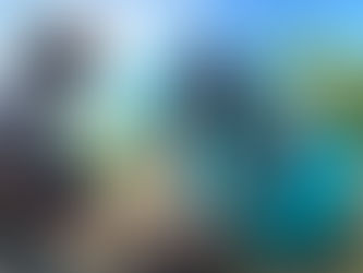 Sandals Foundation and SDC Partner with VPA