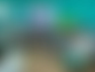 Chalky Hill Primary and Infant School Launches Peace Garden 