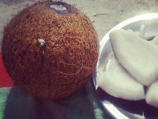 Nuts about coconuts!