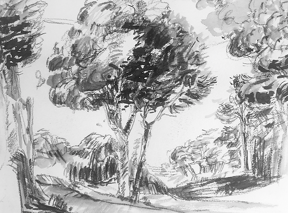 marijo foehrle dessin 08.png