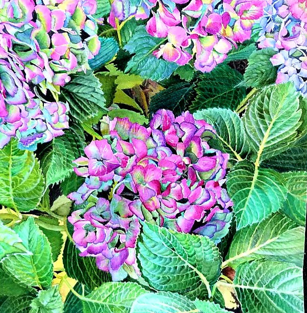 Fall Exhibition 2021 Results