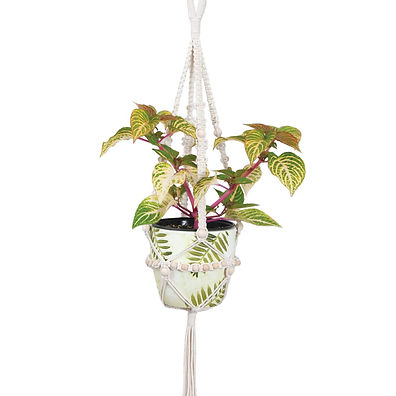 macrame-plant-hanger87.jpg