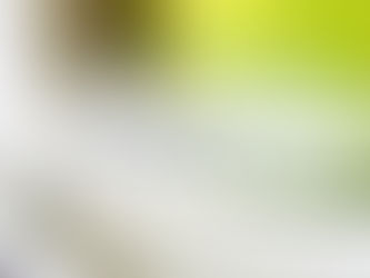 Baignoire îlot compacte installée dans une petite salle de bain, solution élégante pour optimiser l’espace tout en conservant une baignoire.