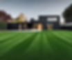 Green tall fescue lawn with modern black house in the background.jpg
