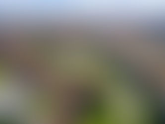 Dallas to Milan, Italy Flight Deal : Week of 09/26