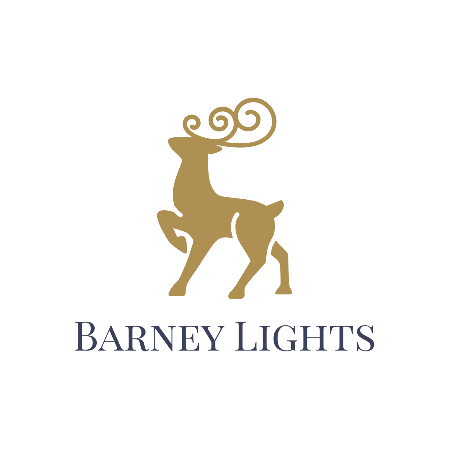 Writer: Barney Lights