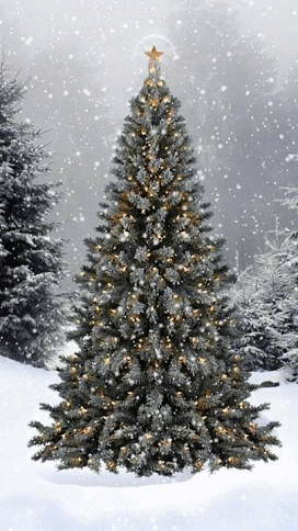 Navidad-Gifs-14.gif