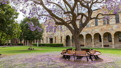 uq-contact-jacarandas-1-2560x1440 (1).jpg