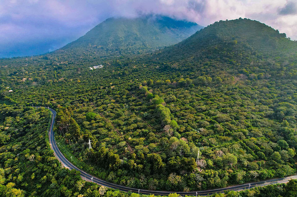 Ruta de las Flores.jpg