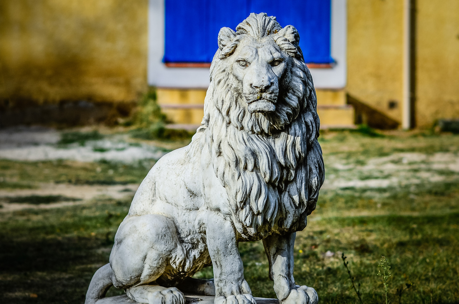 Les Deux Lions Scan Vf