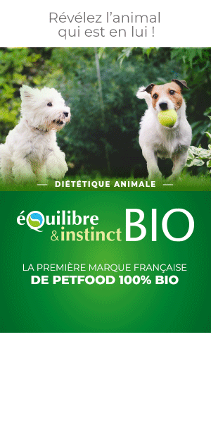 E&I-Bio-Demi-page-300x600_anim-M_ads.gif