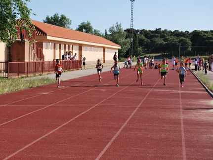 Más de medio centenar de escolares hacen meta en una completa jornada de atletismo
