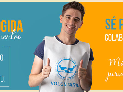 Valdemorillo busca sus voluntarios para la
Gran Recogida de Alimentos NO Perecederos
de este fin d