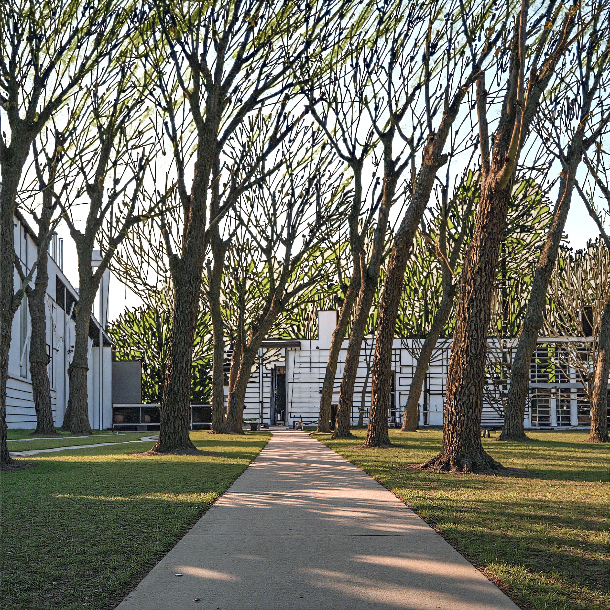 a placeholder image.