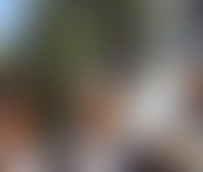Un haitiano muerto y un soldado dominicano herido tras incidente en la zona fronteriza.