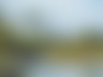 “La atención y cuidado de la diversidad animal en Los Cabos”: Margarita Díaz