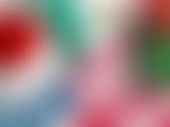 “Con la imposición de aranceles se está cancelando el T-MEC”: Maestra Remedios Gómez Arnau