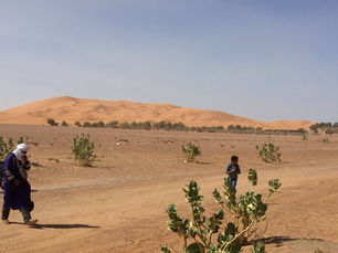 “El cultivo de alimentos en el desierto”: Luis Manuel Guerra 