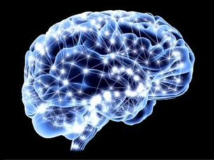 “Investigadores crean primer mapa del cerebro donde se procesan las emociones”: Luis Manuel Guerra 