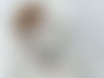 “Cuando las máquinas nos quiten el trabajo”: Emilio Carrillo